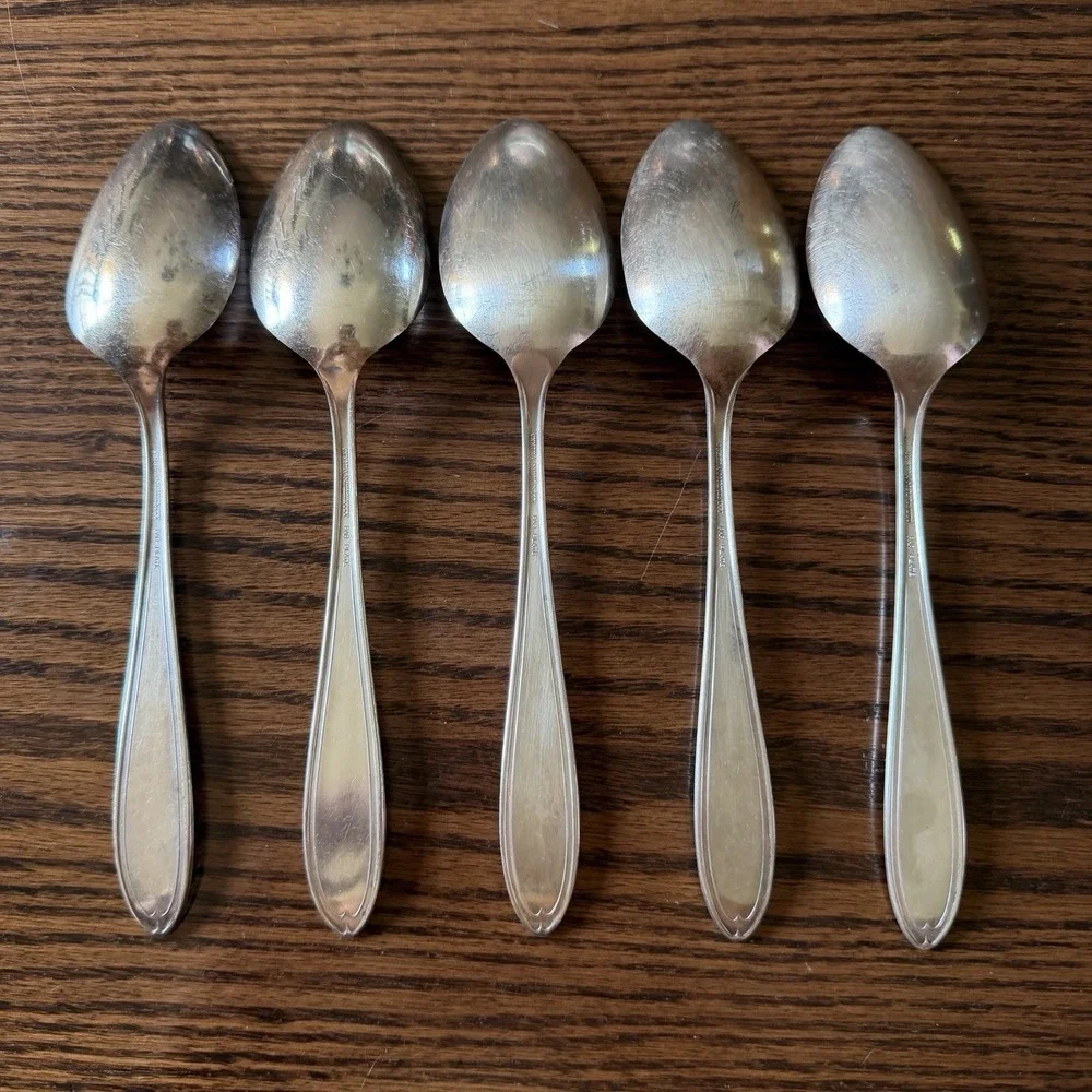 Vtg Oneida Community Bridal Wreath Silver Plate Tablespoon Serving Spoon (5)